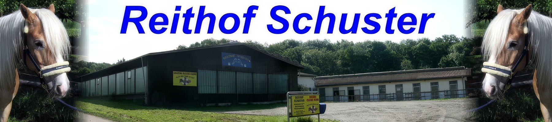 Reithof Schuster